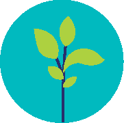 sapling icon